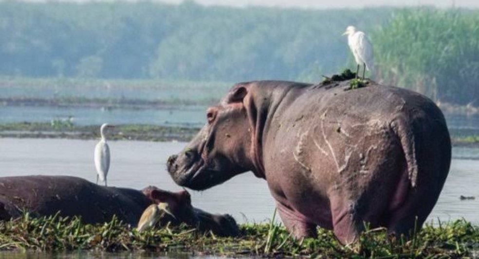 Regional Planning (Bunyoro)