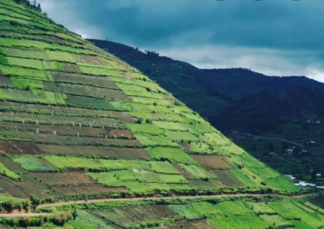 Regional Planning (Kigezi)