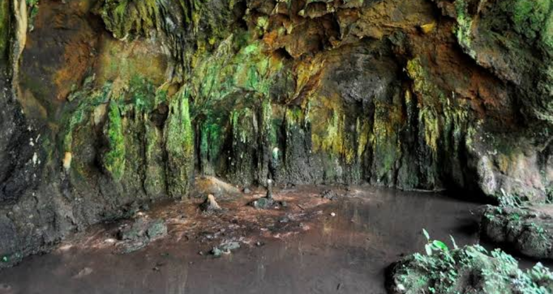 Regional Planning (Toro)